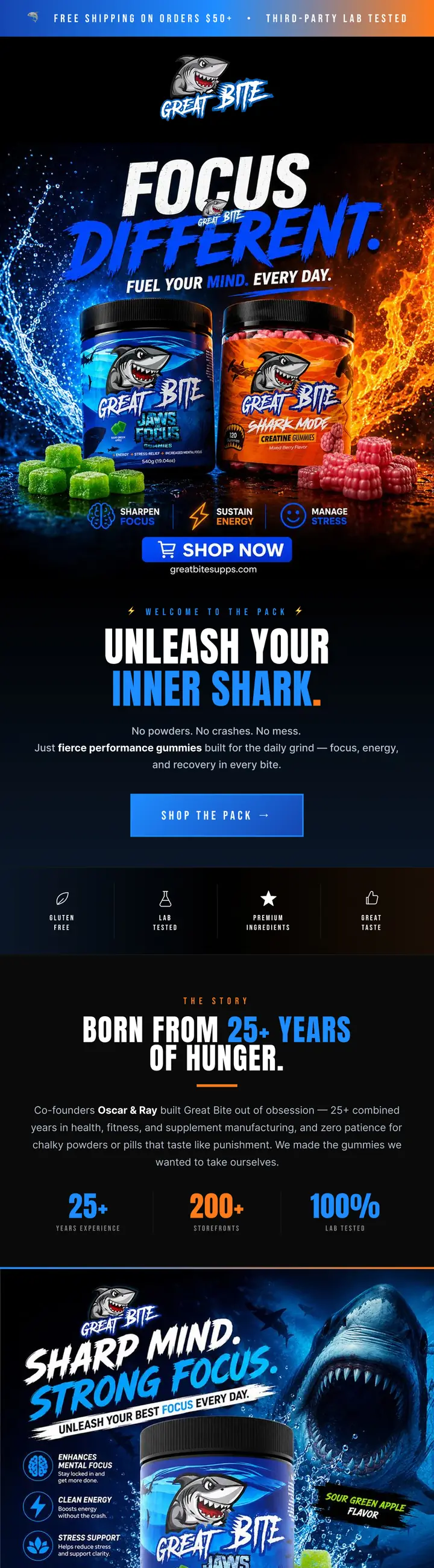 Real email design from our portfolio — the standard Sheffield clients get