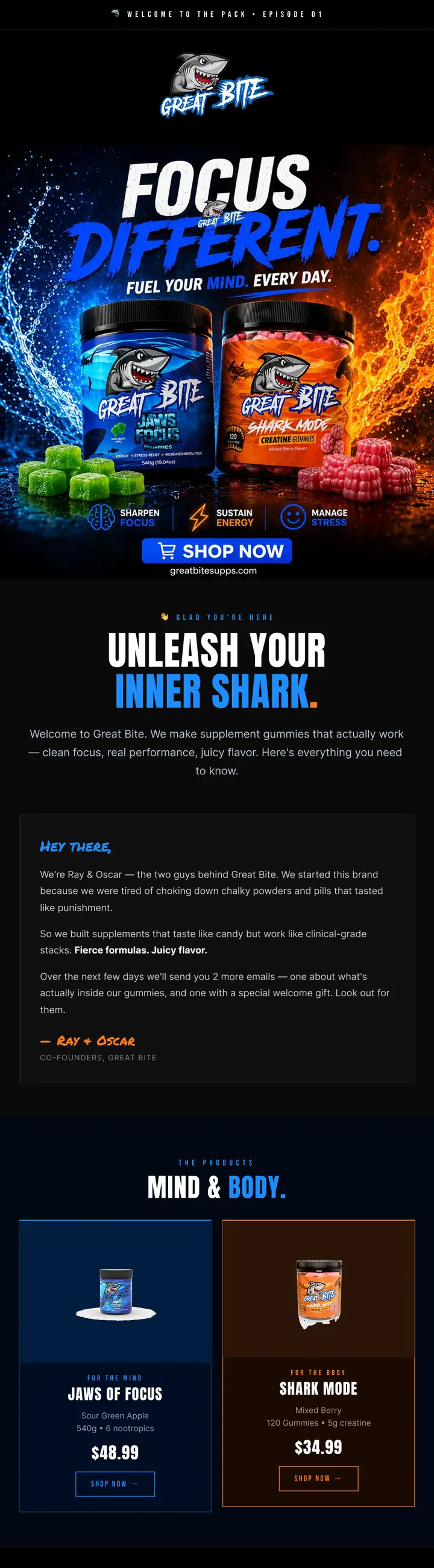 Real email design from our portfolio — the standard Bristol clients get